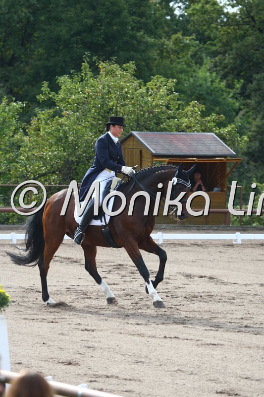 009M5562_Duke of Derby_Dressur S Inter I.JPG